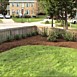 Flowerbed & Shrub Maintenance